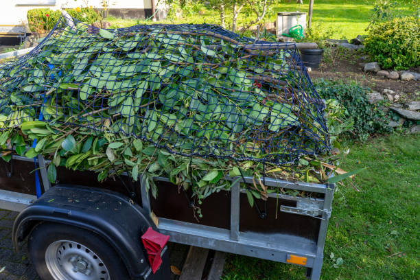 Best Carpet Removal and Disposal  in Linn, MO